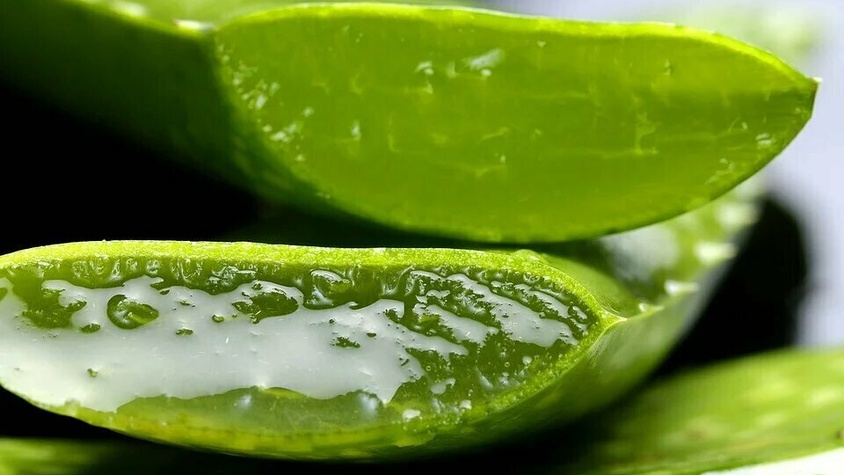 Le gel d'aloé‑véra