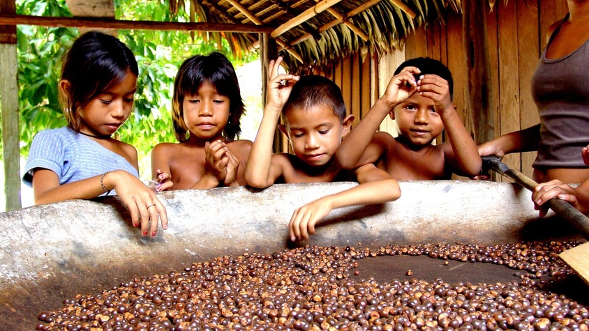 Indiens Satere Mawé