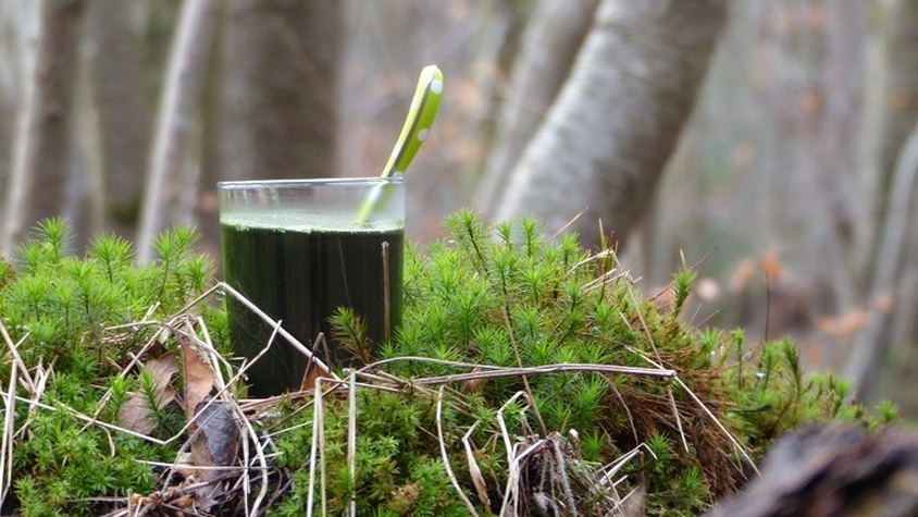 Spiruline en boisson chaude
