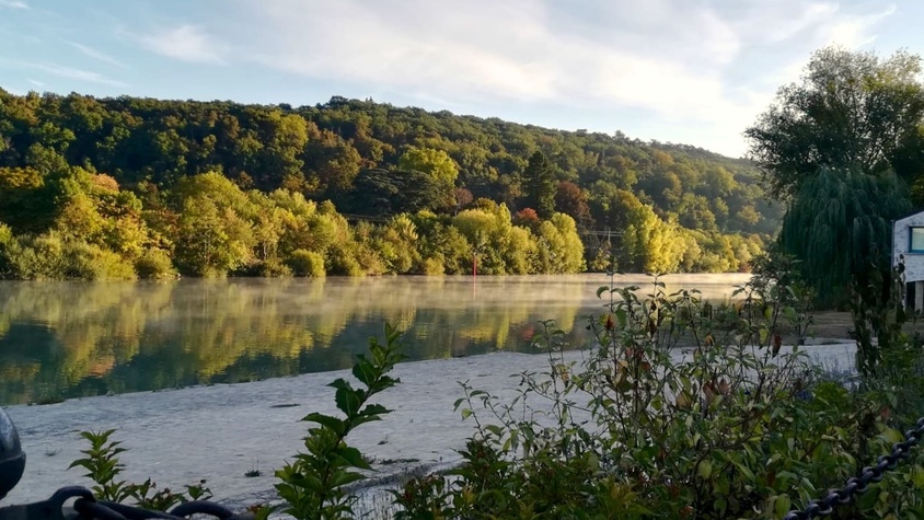 Thomery, un village en bordure de la forêt de Fontainebleau en Seine et Marne (77)