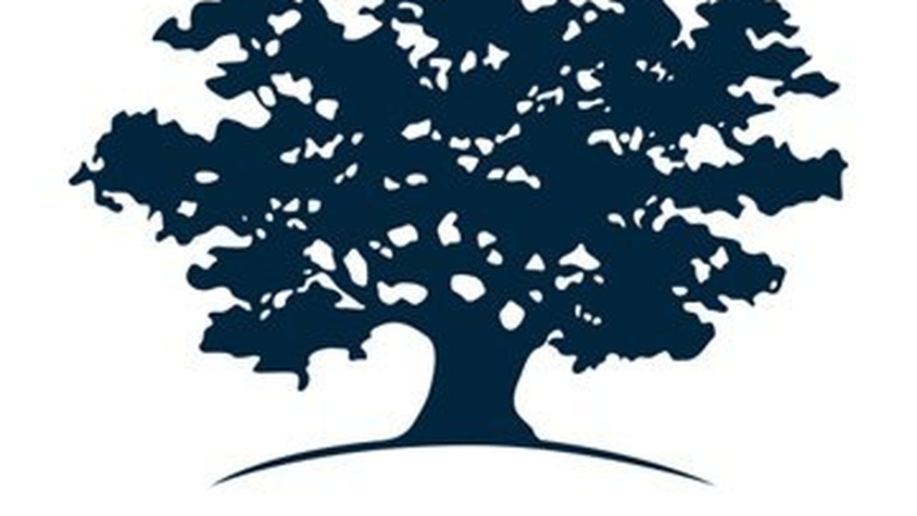 Logo ONG Ashoka