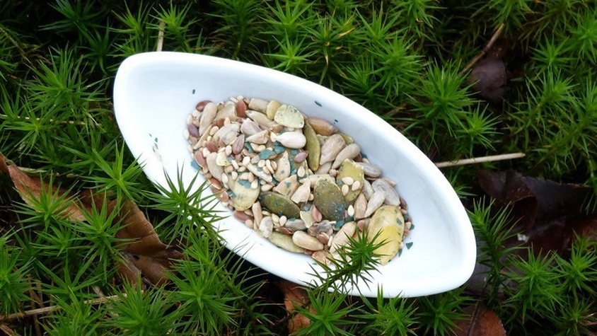 Spriruline en poudre parsemée sur mélange de graines