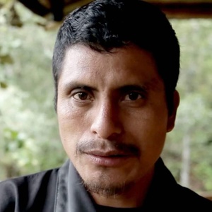 Pétition contre les meurtres d'écologistes au Mexique