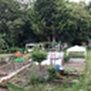 Pétition : sauvons les Jardins des Vertus