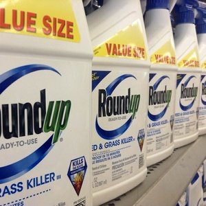 Trump sauve Monsanto