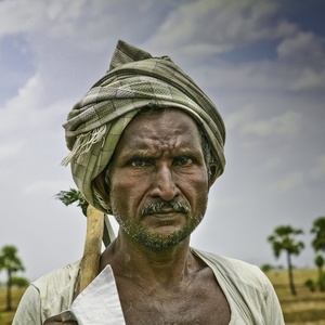 Vague d'empoisonnements en Inde