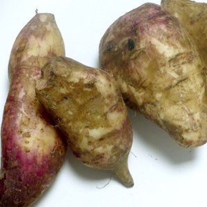 Poire de terre