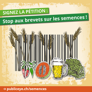 Pétition pas de brevet sur les melons, brocolis et la bière