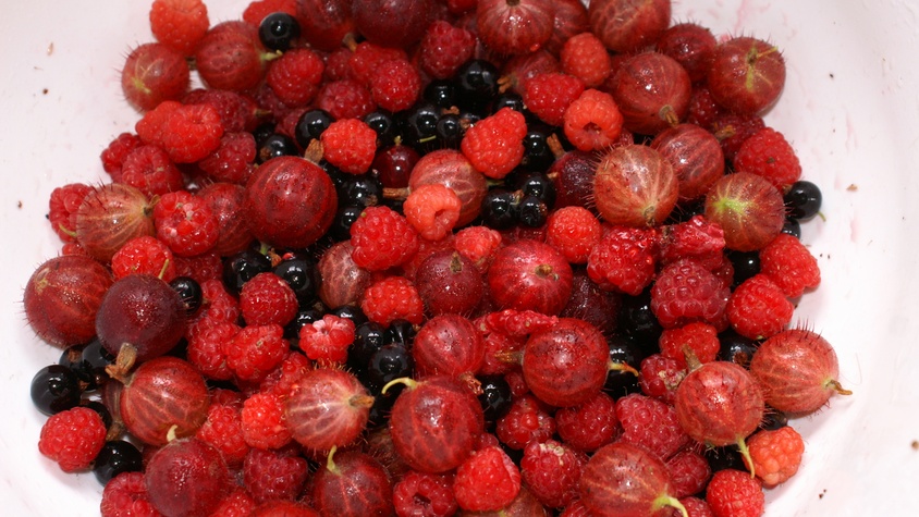 2. Mettre les fruits rouges dans un saladier.